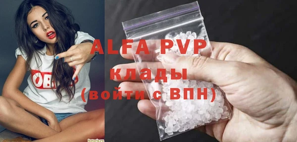 гашик Арсеньев