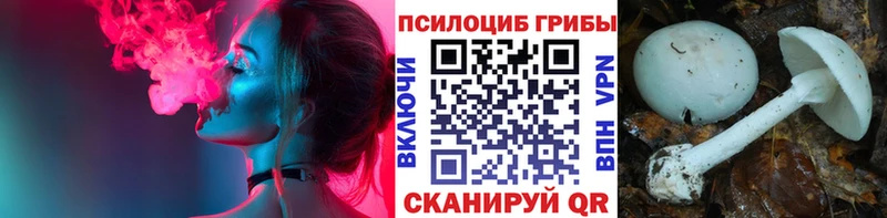Галлюциногенные грибы прущие грибы  как найти наркотики  OMG зеркало  Ахтубинск 
