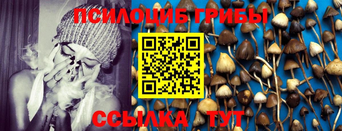 Ахтубинск  Псилоцибиновые грибы Psilocybine cubensis  Галлюциногенные грибы Psilocybe  где продают наркотики  Вход с VPN 